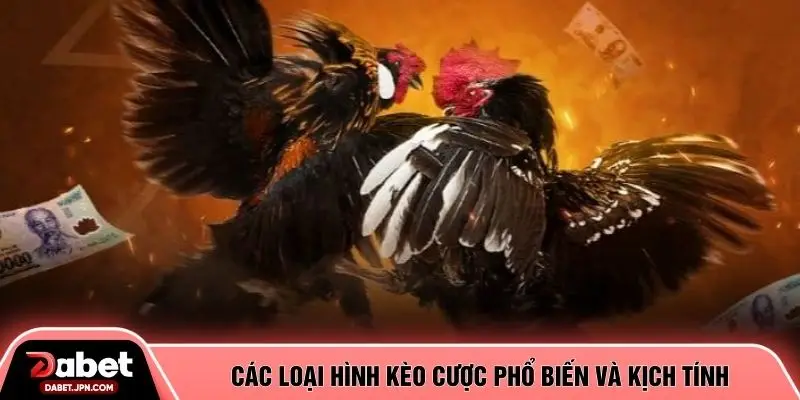 Các loại hình kèo cược phổ biến và kịch tính