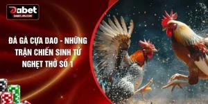 Đá Gà Cựa Dao - Những Trận Chiến Sinh Tử Nghẹt Thở Số 1