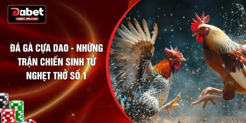 Đá Gà Cựa Dao - Những Trận Chiến Sinh Tử Nghẹt Thở Số 1