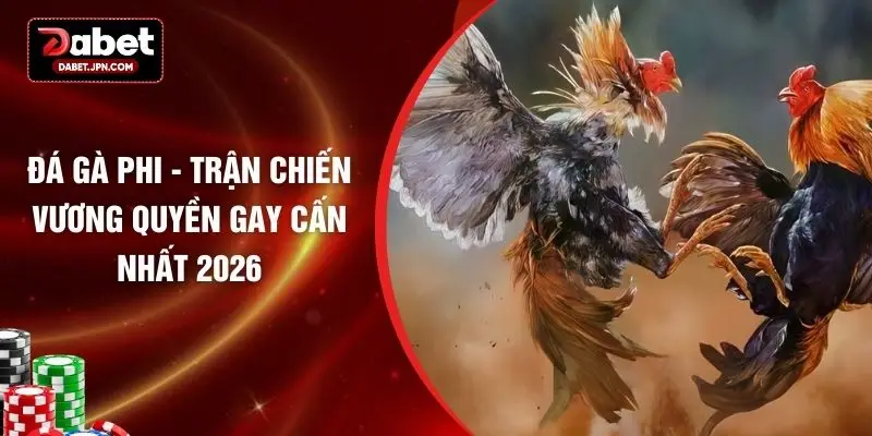 Đá Gà Phi - Trận Chiến Vương Quyền Gay Cấn Nhất 2026