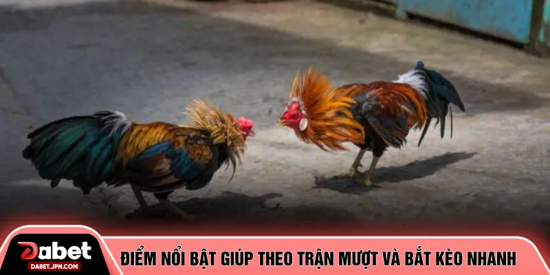 Điểm nổi bật giúp theo trận mượt và bắt kèo nhanh