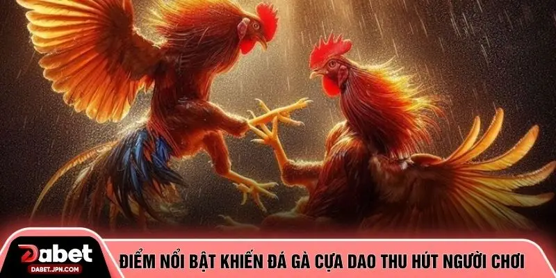 Điểm nổi bật khiến đá gà cựa dao thu hút người chơi
