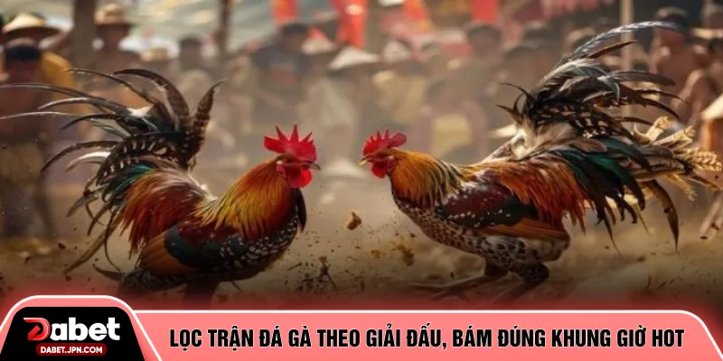 Lọc trận đá gà theo giải đấu, bám đúng khung giờ hot