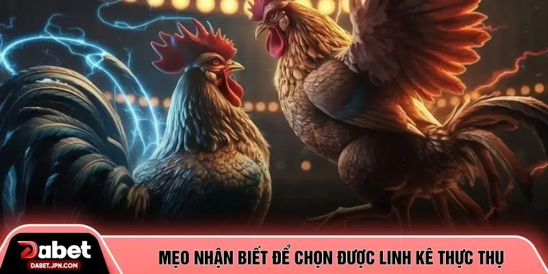 Mẹo nhận biết để chọn được linh kê thực thụ