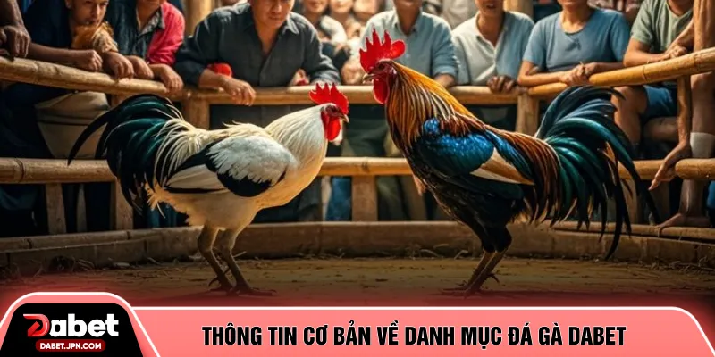 Thông tin cơ bản về danh mục đá gà DABET
