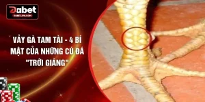 Vảy Gà Tam Tài - 4 Bí Mật Của Những Cú Đá "Trời Giáng"