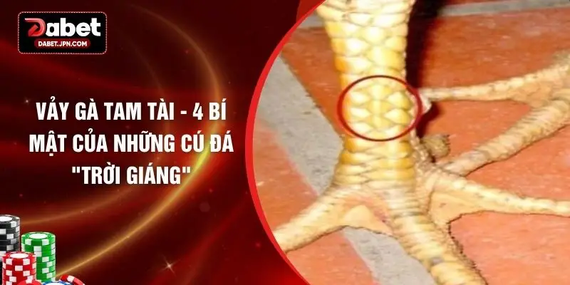 Vảy Gà Tam Tài - 4 Bí Mật Của Những Cú Đá "Trời Giáng"